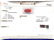 7.99/CT Natural Red Coral With Govt. Lab Certificate